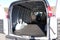 2026 Chevrolet Express Cargo 1WT
